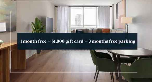 1 Room 52m² Apartment in Montreal Center
