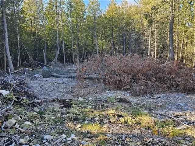 Lake Huron Dream Home Lot - Build Your Perfect Cottage