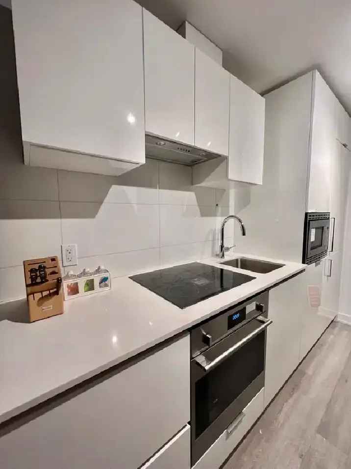 Furnished One Bedroom Downtown Toronto Apartment Near Subway