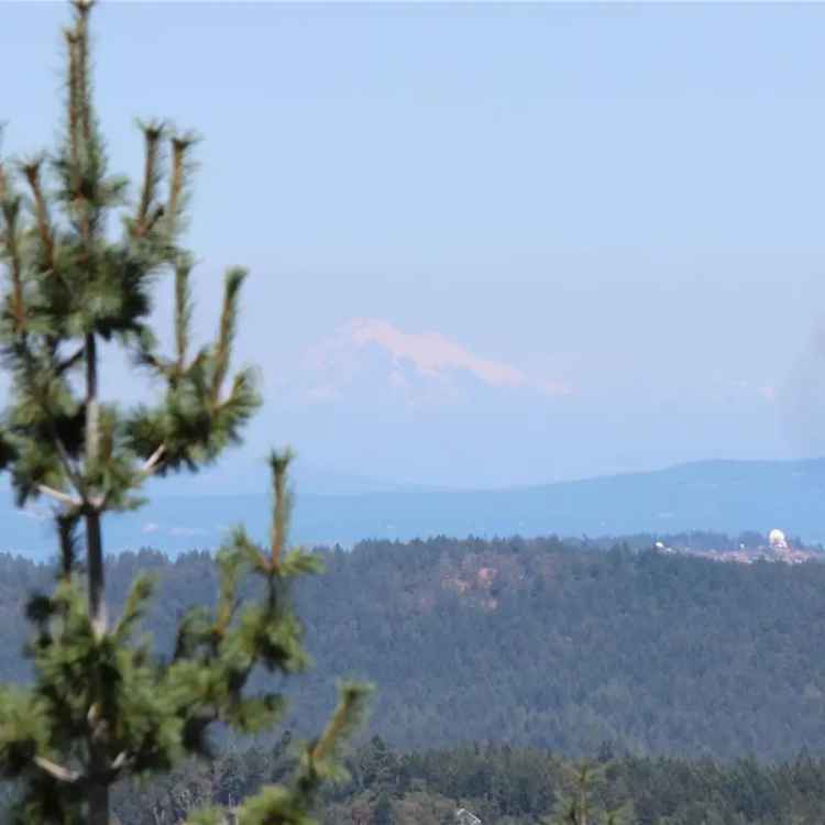 5.51 Acre View Lot Goldstream Heights Ocean City Mountain Valley Views