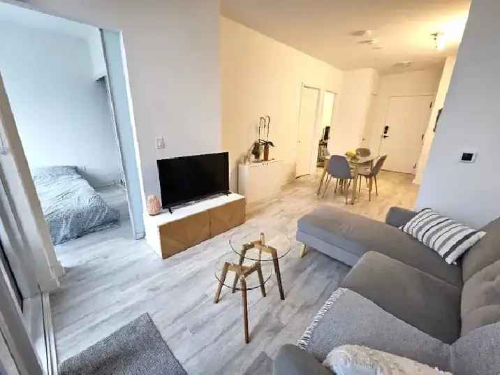 1 1 Furnished Downtown Condo For Rent April 15th