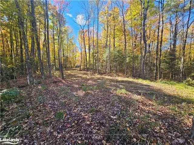 Serene 368 Acre Building Lot in Haliburton County