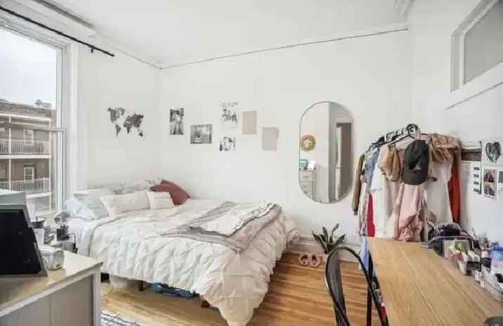 Room for Rental Winter Semester - Plateau-Mont-Royal