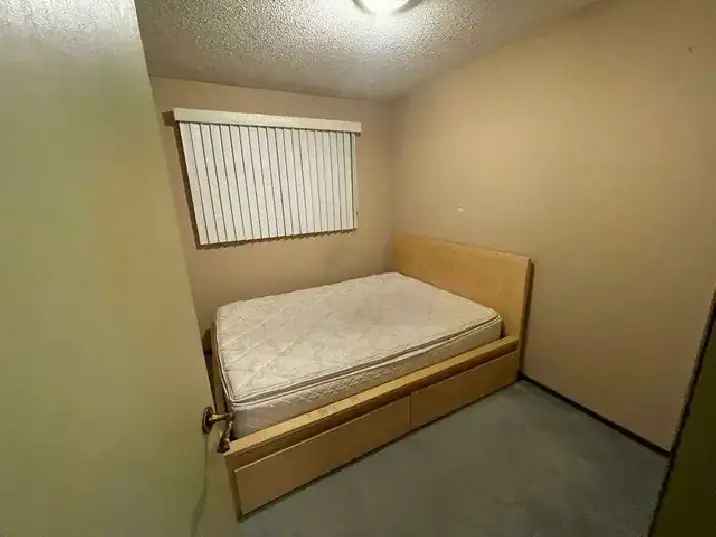 Private Room for rent from 4December for a girl in Tyndall park