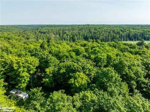 42 Acres of Privacy in Muskoka Lakes - Build Your Dream Cottage