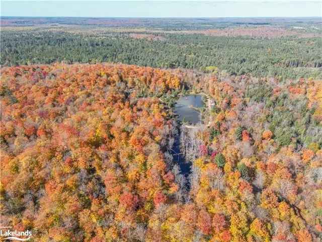 Stunning 33 Acre Vacant Lot Near Huntsville