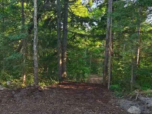 4.5-Acre Wooded Lot in King City - Build Your Dream Home