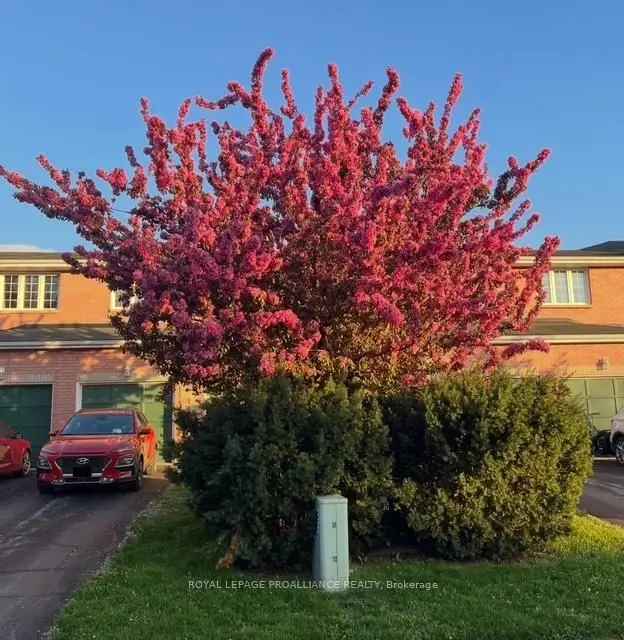 Updated 2-Storey Townhouse in West Park Village