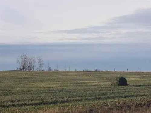 Commercial For Sale In Rural Grande Prairie No. 1, County of, Alberta