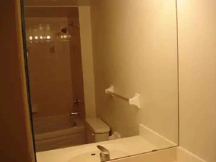 1 Bed 1 Bath 620sqft Condo at Yonge Finch - Tridel Building