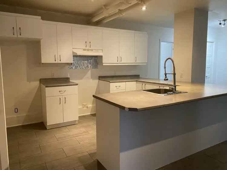 Spacious Renovated Basement Apartment