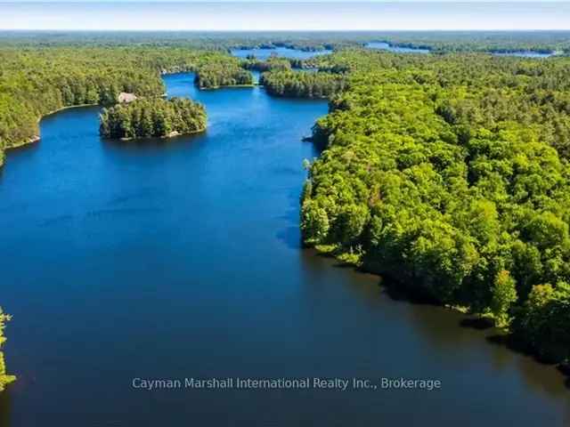 Muskoka Lakefront Estate: Seven Deeded Lots & Bonus Cottage