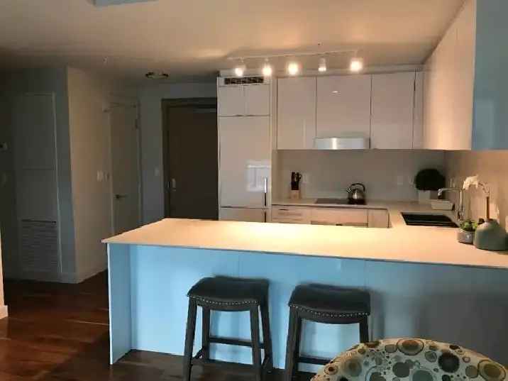 Rent Luxurious 1 Bedroom Condo in Downtown Edmonton with City Views