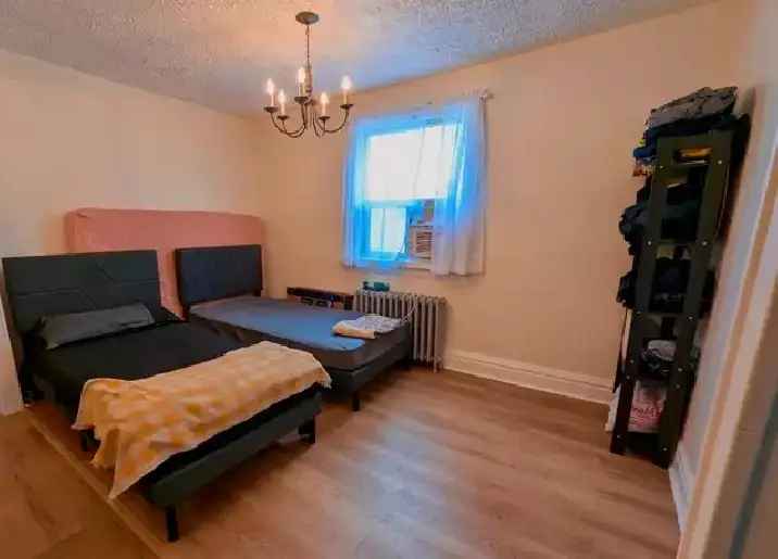 Room available in sharing at Palmerston avenue