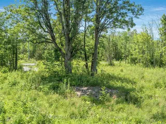 6.57-Acre Lot Ready for Your Dream Home Near Georgian Bay