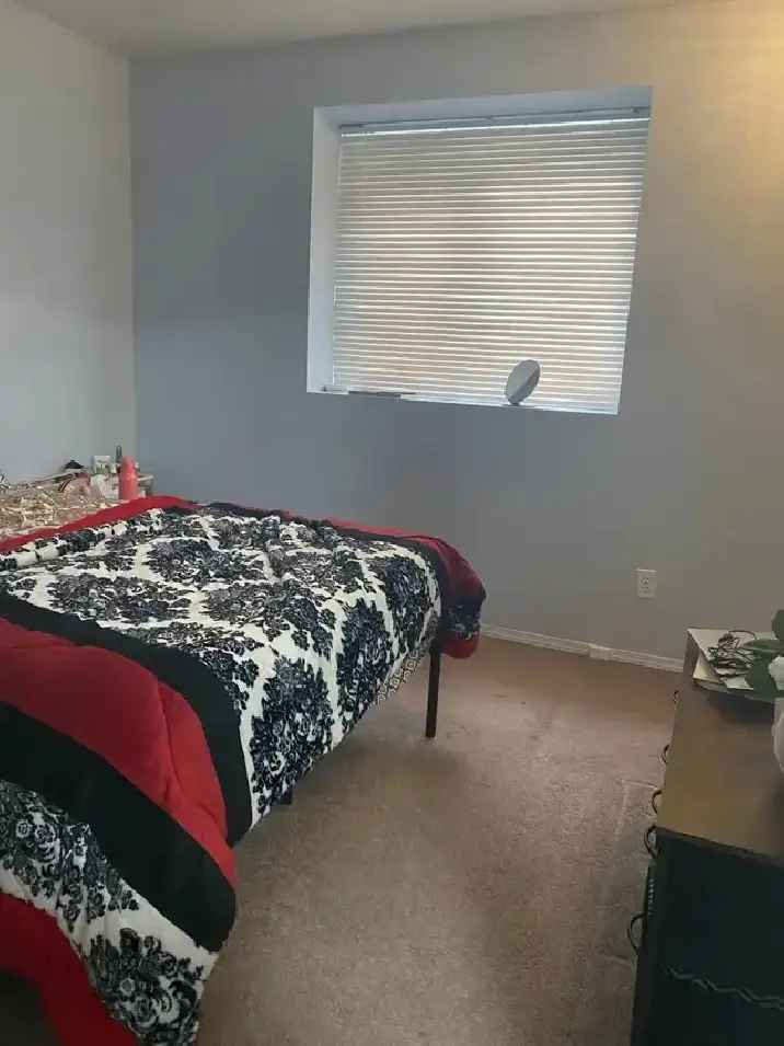 Private Room For Rent