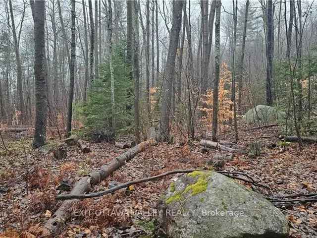 1 Acre Off Grid Lot Getaway Retreat Near Barry's Bay