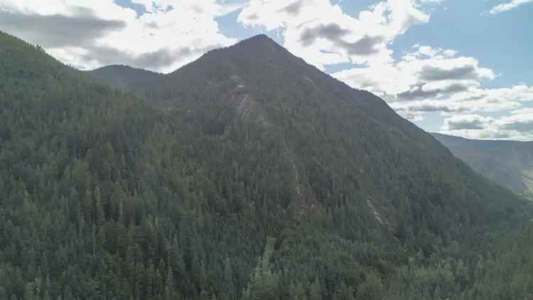 Timber and Recreation Opportunity - Sheep Creek - Salmo, BC