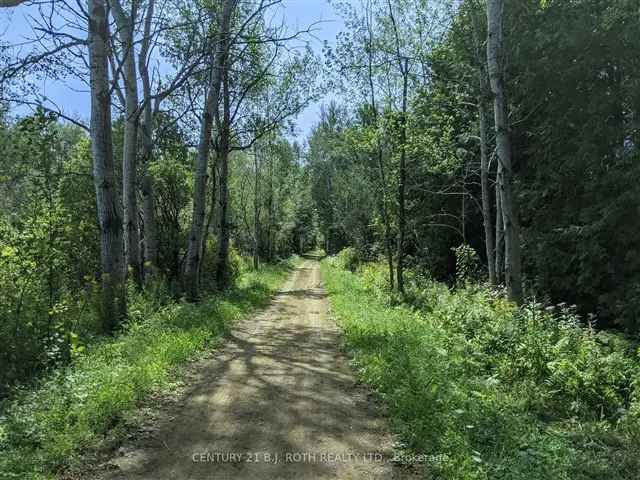 Land For Sale in Springwater, Ontario