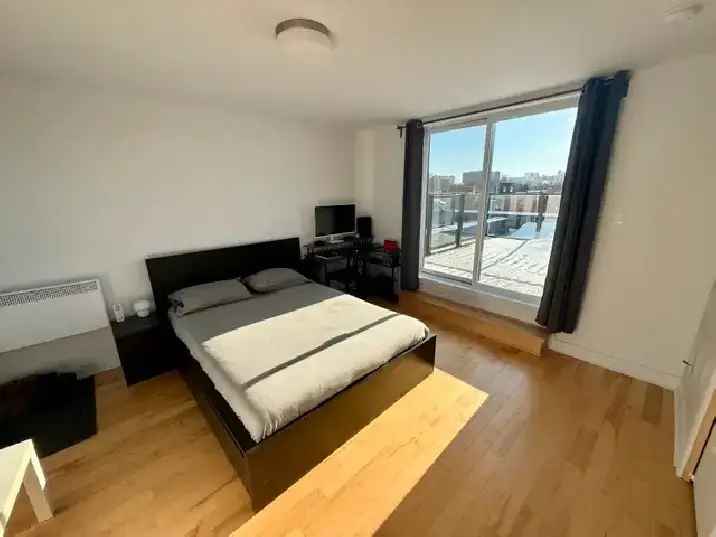 Rent Modern 3 Bedroom Condo in Montreal with Rooftop Terrace