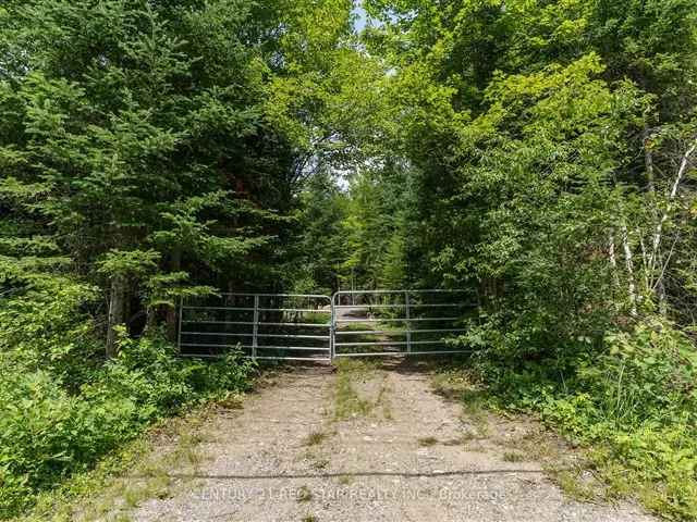 10-Acre Lot Near Haliburton - Ready to Build