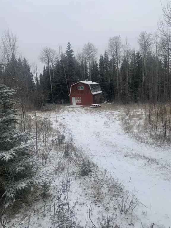 70.29 Acres near Shining Bank Lake - Cabin & Creek