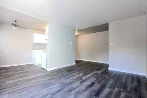 Rent 1 Room Apartment in Edmonton with Renovated Features and Pets Allowed