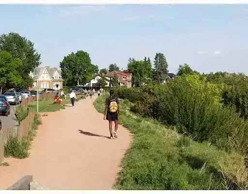 Rent a bungalow home in Crescent Heights Calgary with great views