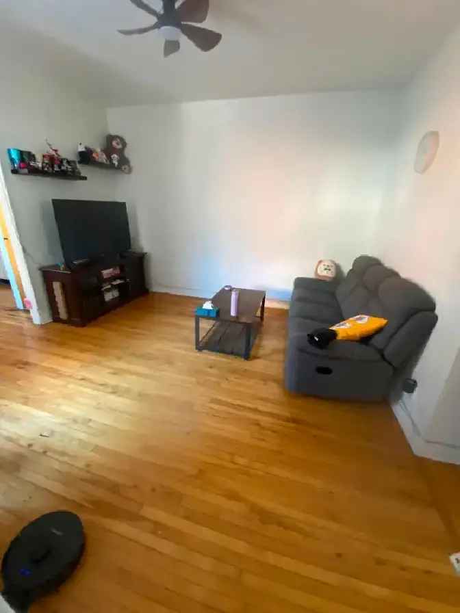 Large Renovated 5 12 Apartment for Rent
