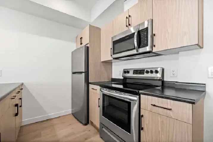 Luxury 2 Bedroom Apartment for Rent in Transcona with Modern Features