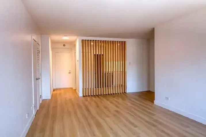 Newly renovated studio near UDEM - ID 3870