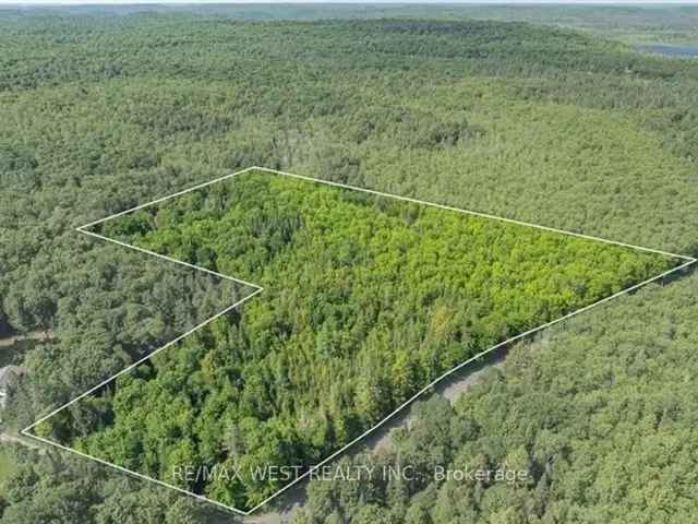 11.5 Acre Muskoka Property - Build Your Dream Home