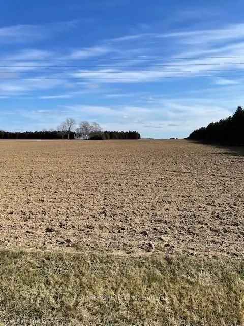 Buy Farm Land Near Ridgetown with Productive Soil and Storage Building