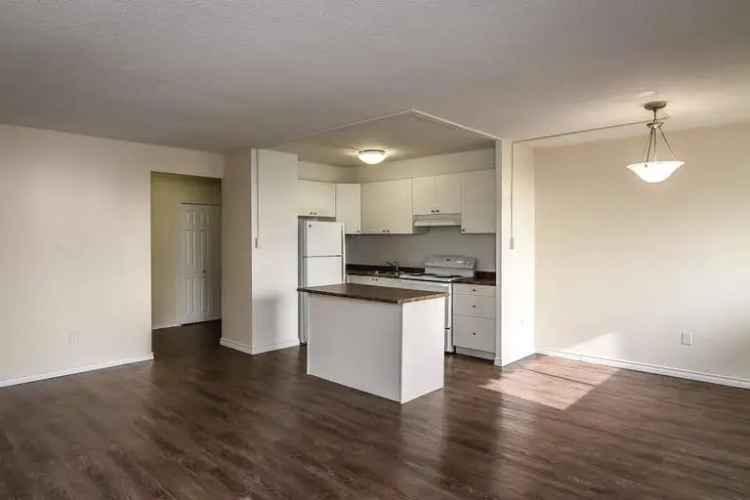 Rent Apartment in Hamilton with Scenic Views and Spacious Suites