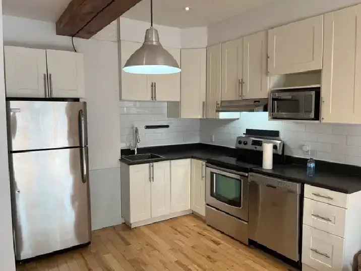 Rosemont Condo Loft near Beaubien Park