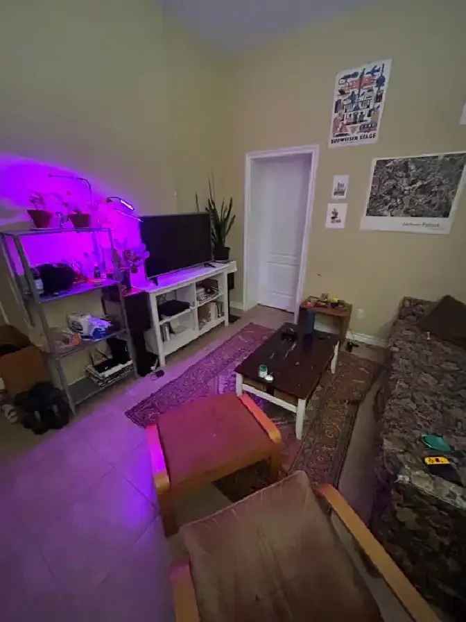 Private room for rent (1 Month sublease for December)