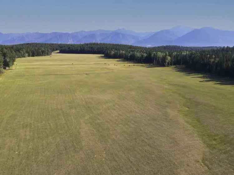 Trophy Private Acreage with Rocky Mountain Views only Minutes to Town - Invermere, BC