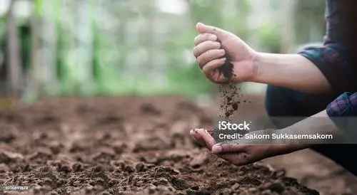 Compost Topsoil Sales Business For Sale Langley BC