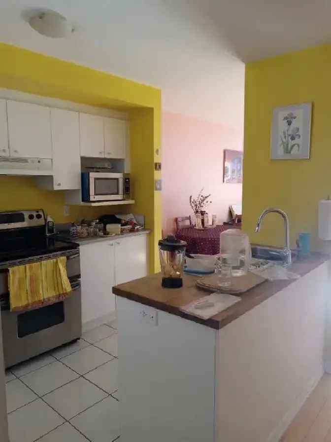 Sunny condo sublet in Plateau Mt Royal