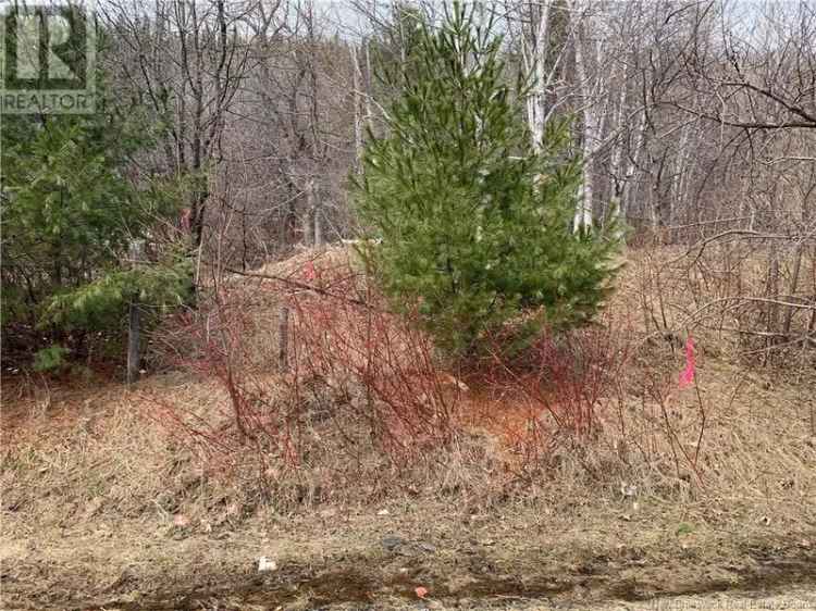 Hillside Land Close to Town Private Scenic Views