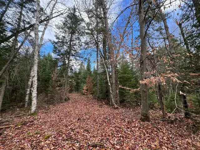 50-Acre Forested Lot with Beaver Pond and Crown Land Access