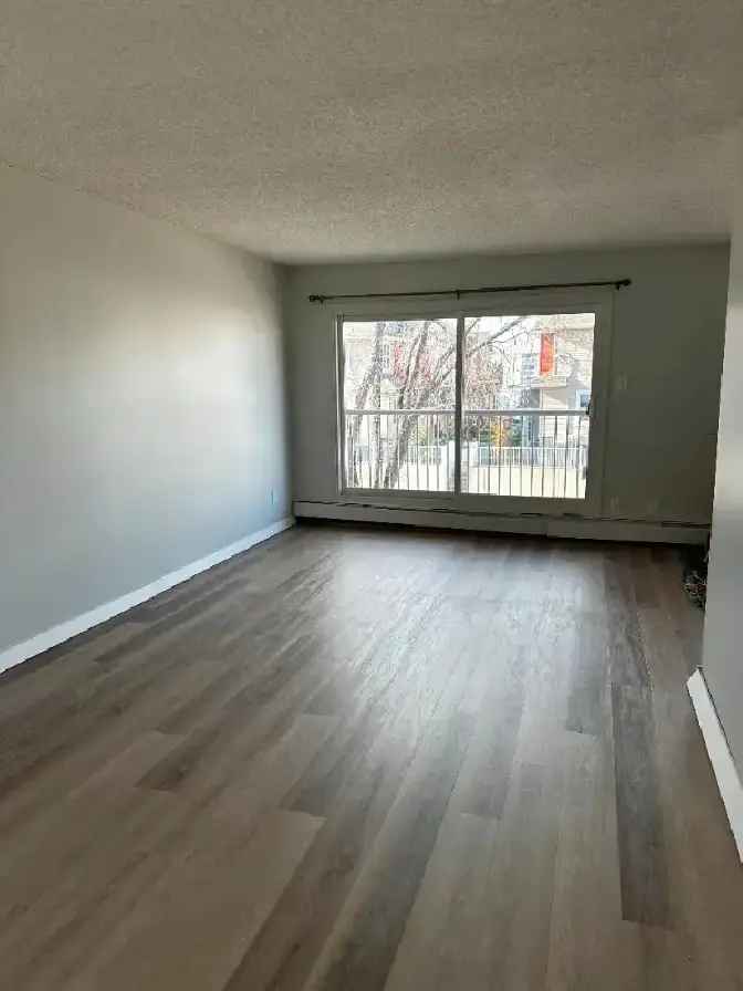 Newly renovated, top floor 2 bedroom condo