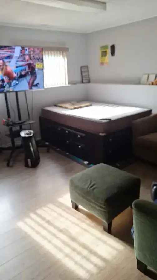 Shared Room for RENT- Spruce Grove Free Wifi, Utilities/Laundry