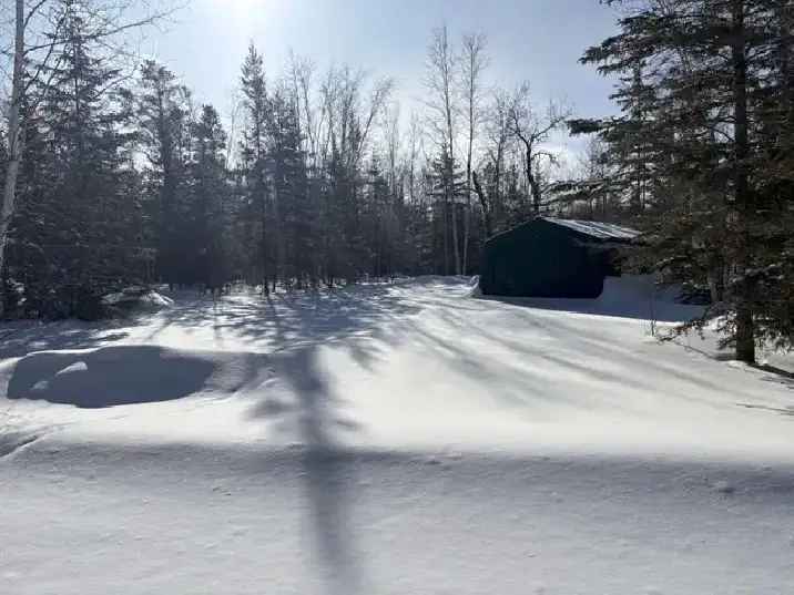 Buy Log Cabin in Ste Rita with 89.49 Acres and Gorgeous Features