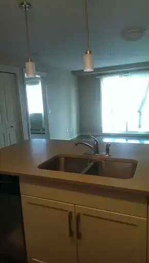 1 Bedroom Apartment in Cranston Calgary