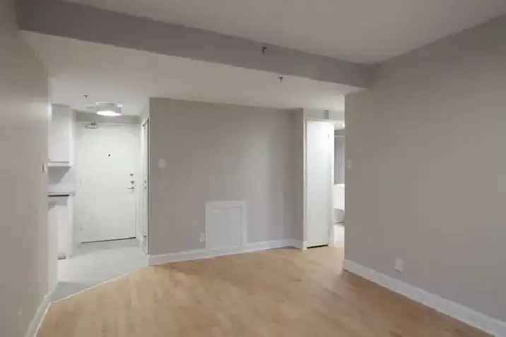 fully renovated 3 1/2 apartment near McGill - ID 1087