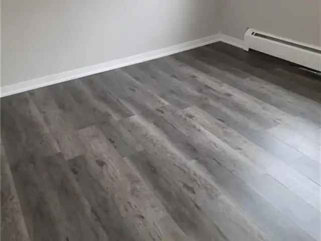 2 Bed 1 Bath Renovated Apartment Near Downtown