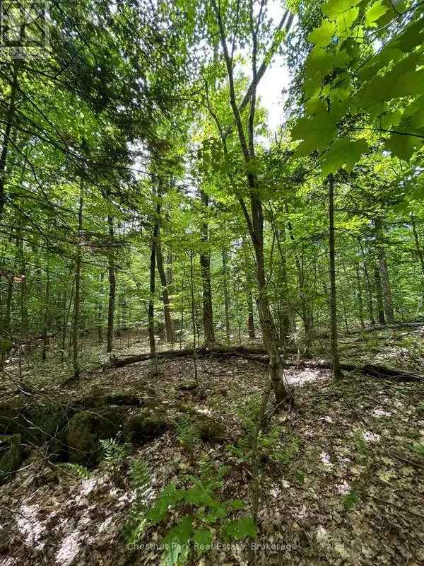 10 Acre Property near Burks Falls Ryerson Township