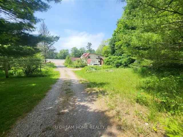 1+ Acre Lot with Highway Exposure in Bala - Multi-Use Zoning