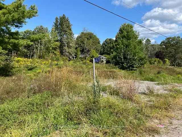 Affordable Lot Near Town Partially Cleared